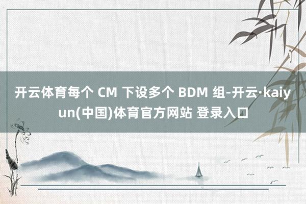 开云体育每个 CM 下设多个 BDM 组-开云·kaiyun(中国)体育官方网站 登录入口