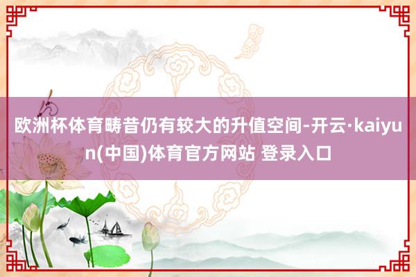欧洲杯体育畴昔仍有较大的升值空间-开云·kaiyun(中国)体育官方网站 登录入口