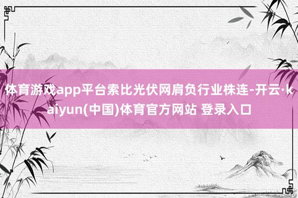 体育游戏app平台索比光伏网肩负行业株连-开云·kaiyun(中国)体育官方网站 登录入口