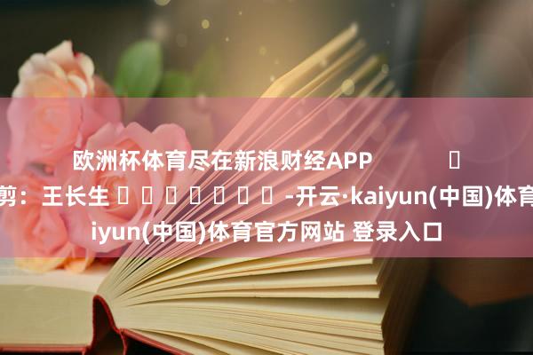 欧洲杯体育尽在新浪财经APP 职守裁剪:王长生 -开云·kaiyun(中国)体育官方网站 登录入口