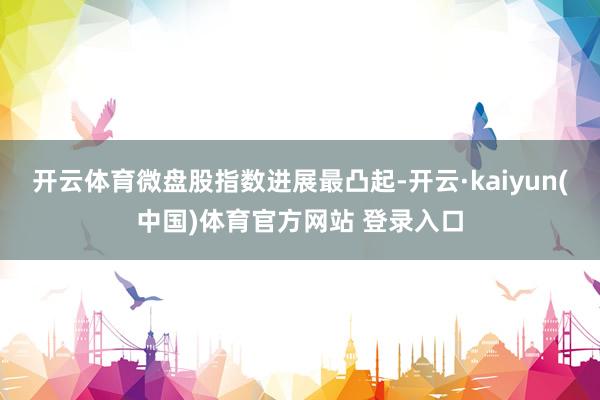 开云体育微盘股指数进展最凸起-开云·kaiyun(中国)体育官方网站 登录入口